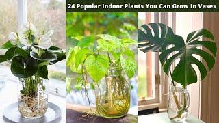 24 Popular Indoor Plants You Can Grow In Vases