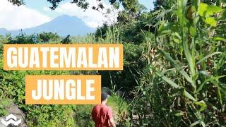 Exploring Guatemalan Jungle. Hostel Del Lago | NEOtravel 08