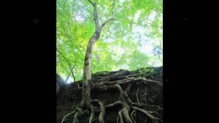 Nelson-Kennedy Ledges State Park