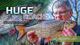 HUGE ROACH - Terry Theobald