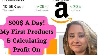 500$ A Day How To Sell On Amazon FBA/FBM: My First Products, How I found Them, Figuring Out Profit