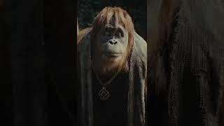 Immerse Yourself in the Ape Revolution In IMAX