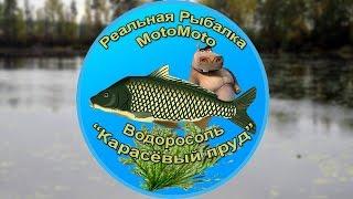 Как поймать Водоросоль на Карасёвом пруду [АРХИВ] | Реальная Рыбалка