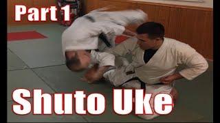 Application of Shuto Uke - PART 1 - Shihonage