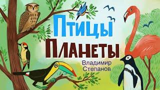 СТИХИ О ПТИЦАХ ПЛАНЕТЫ | Слушаем детские стихи ТУТ и попугай Ара и АИСТ и ТУКАН Владимир Степанов