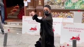 Nos sumamos a la petición de la Asociación Nacional de Tablaos Flamencos de España