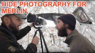 Wildlife Exposed Shetland Diaries: Using a Photography Hide For Merlin