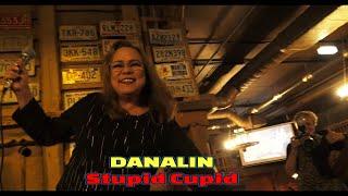 DANALIN  -  Stupid Cupid