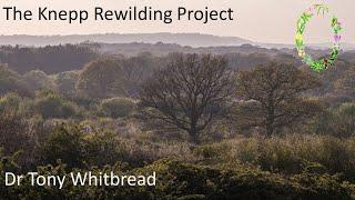 The Knepp Rewilding Project