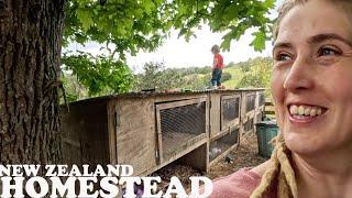 NEW ZEALAND Homestead OVERRUN with Adorable BABIES