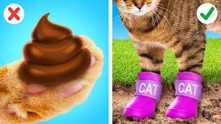 RICH VS POOR PET GADGETS || Hacks for Pet Owners by 123 GO! UNIVERSE
