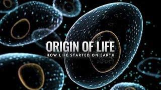 Evolution and the Origin of Life