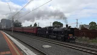 Steamrail Victoria's Rail and Sail with K183!