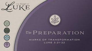 Marks of Transformation | Michael Gossett | Luke