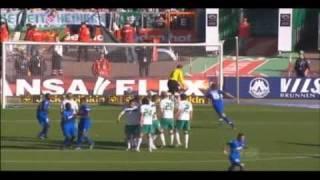 Sejad Salihovic and Vedad Ibisevic TOP goals and freekicks HQ