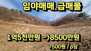 #충주부동산채널 961번 제천시 덕산면 임야매매 초저가매물