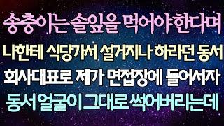 -  (반전 사연) 송충이는 솔잎을 먹어야 한다며 나한테 식당가서 설거지나 하라던 동서 회사대표로 제가 면접장에 들어서자 동서 얼굴이 그대로 썩어버리는데 _사이다사연_라디오드라마