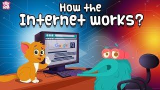 How The Internet Works? | What Is Internet? | Dr Binocs Show | Kids Learning Video | Peekaboo Kidz