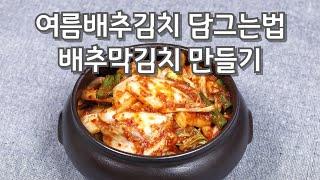 여름철 배추막김치 맛있게 담그는법 여름배추김치#여름배추김치담그기#배추김치