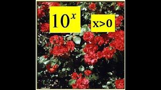 forces of 10^x - out of roses (megacosmos)