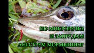 ПО МИКРОРЕЧКЕ И ЗАПРУДАМ \ ÅНГСТРЕМ МОРМЫШИНГ