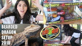 NEW Bearded Dragon Setup! | How To Set Up A Bearded Dragon 2018 | Zoo Med