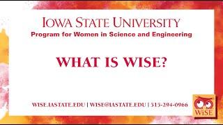 What is WiSE?