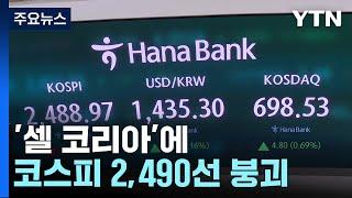 '셀 코리아'에 코스피 2,490선 붕괴...원달러 환율 한때 1,438원까지 / YTN