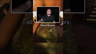 Michael is still a successful movie producer in GTA 6?