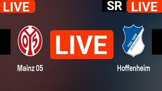 FSV Mainz 05 vs Hoffenheim live match today score updates | Bundesliga live score