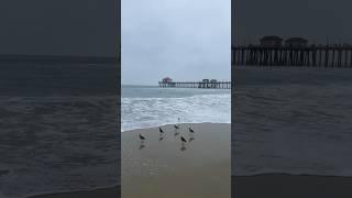 Morning walks in HB #huntingtonbeach #hb #surfcity