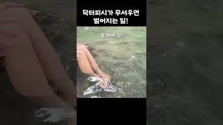 에라완국립공원 에라완폭포의 닥터피쉬   #여행꿀팁 #태국#에라완국입공원 #여행 #50대여행