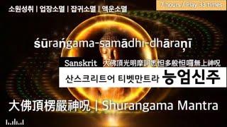 ️능엄신주경 인도 주술사 원음 +주파수 | 고통과 장애 해결 | 가위눌림 악몽 귀접 해결 | 업장소멸 소원성취 | 액운액살소멸