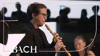 Bach - Oboe concerto in D minor BWV 1059R - López Paz | Netherlands Bach Society