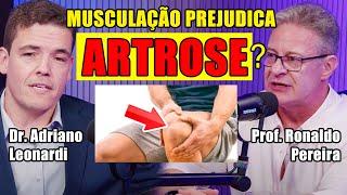 Musculação AGRAVA ou MELHORA a Artrose? [Live] #16