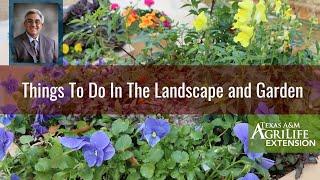 "Things To Do" In The Landscape and Garden