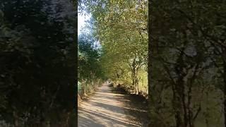 What about the weather #funny #vlog #syedimadfaizi #nature #pashtovlog #dailyvlog #bunerbeauty