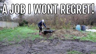 USING MANURE ON MY ALLOTMENT GARDEN! / ALLOTMENT GARDENING UK