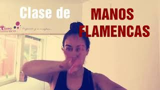 MANOS FLAMENCAS. Ejercicios para hacer el floreo !