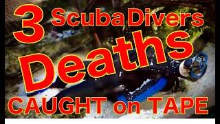 【SHOCKING】3 Scuba Divers Deaths! attacked by GIANT Lobster Caught on Tape