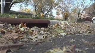 Keep your storm drains clear