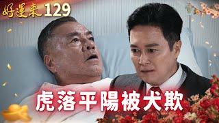 好運來 EP129 虎落平陽被犬欺｜Everybody Needs Good Luck