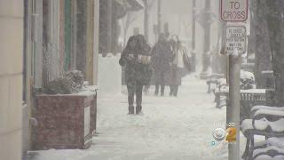 Snow Blankets Suffolk County