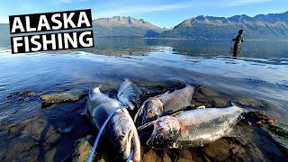 BEST SALMON Fishing in ALASKA! [stunning views]