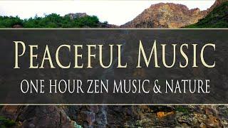 1 Hour Peaceful Relax Music - with Nature Sounds & Footage