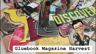 Gluebook || Magazine Harvest #20