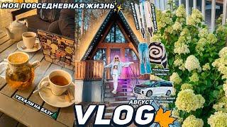 VLOG| МОЯ ПОВСЕДНЕВНАЯ ЖИЗНЬ Уехали в Лес, Тестирую Dyson Airstrait, Смотрим новый Авто / Август