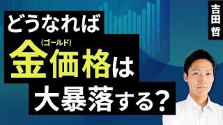 どうなれば金（ゴールド）価格は大暴落する？（吉田 哲）【楽天証券 トウシル】