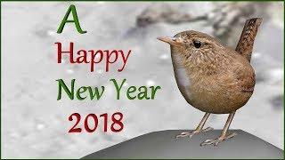 A Happy New Year ─ 2018 ─ 3D Animation