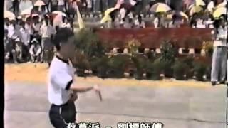 蔡莫派劉標師傅 - 花迷手 Choi mok pai